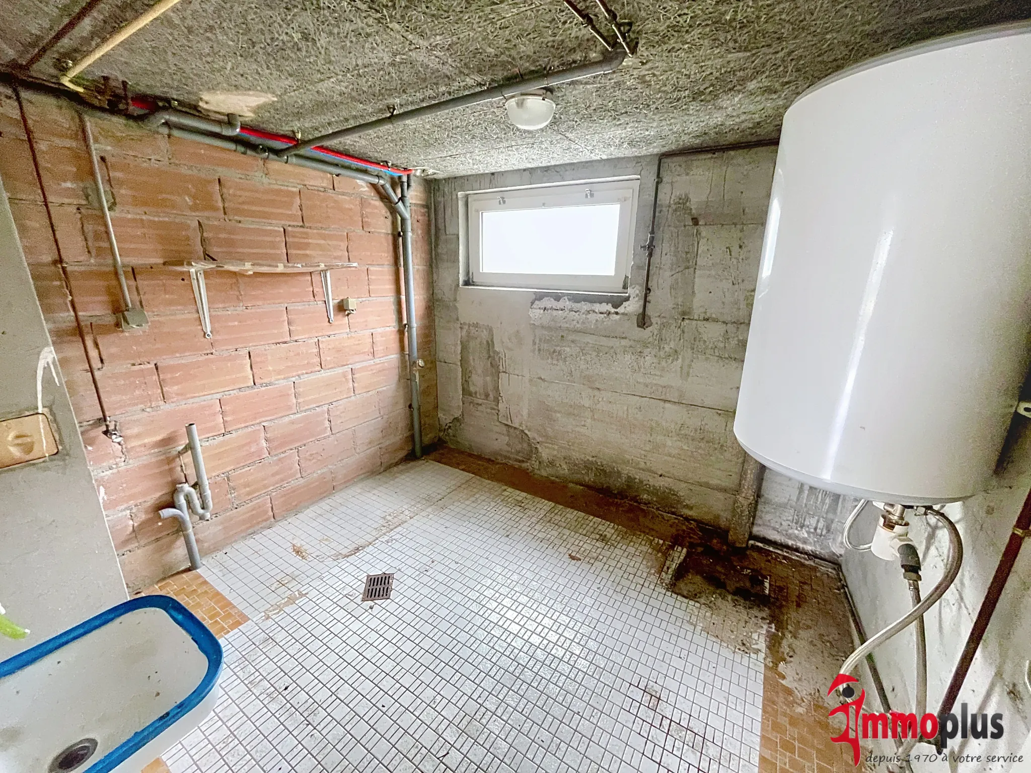 Maison plain-pied à vendre à Bollwiller – 121,60 m² avec terrain arboré 