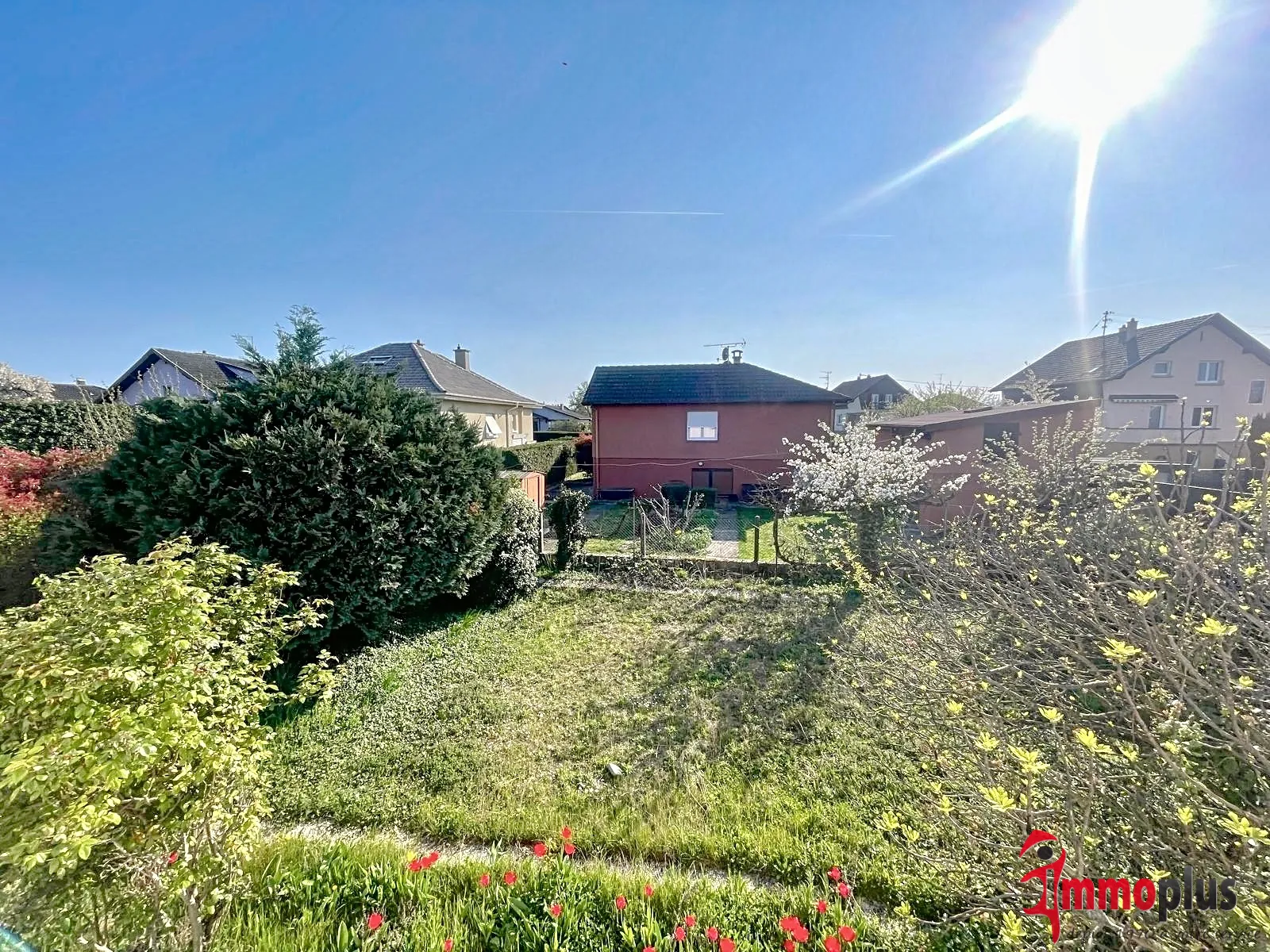 Maison plain-pied à vendre à Bollwiller – 121,60 m² avec terrain arboré 