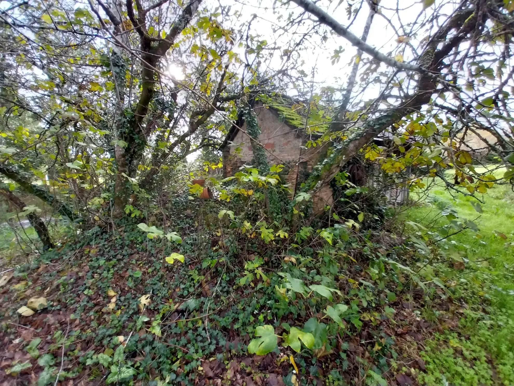 Ensemble immobilier rural de 2 hectares avec maison et dépendances à Saint Laurent des Hommes 