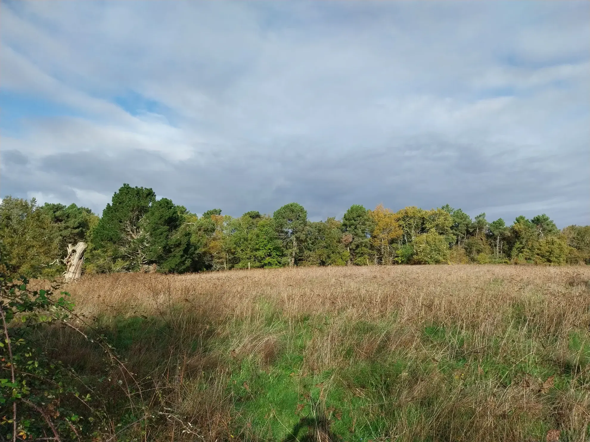 Ensemble immobilier rural de 2 hectares avec maison et dépendances à Saint Laurent des Hommes 