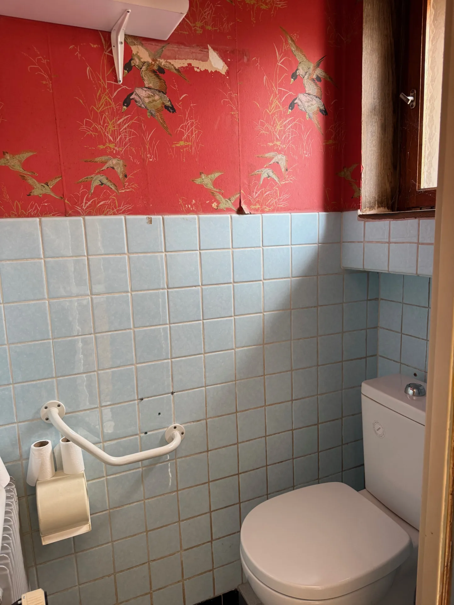 Maison à rénover à Zillisheim avec garage et jardin sur 5.59 ares 