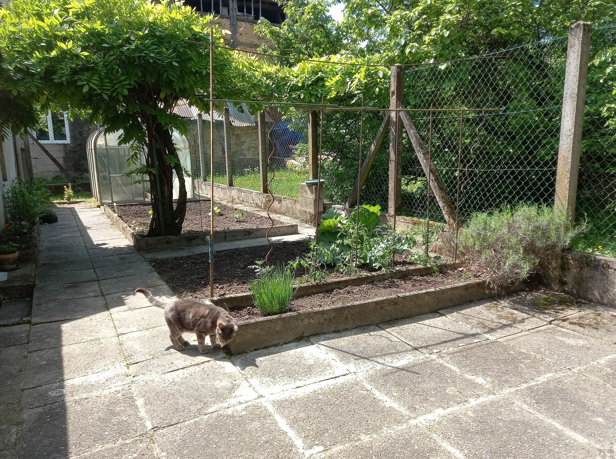 Maison de 166 m² à Manspach avec potentiel de division, dépendance et terrasse 