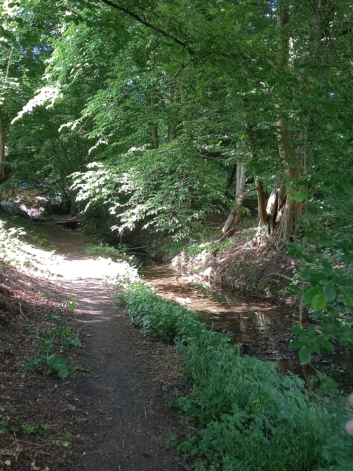 Maison de 166 m² à Manspach avec potentiel de division, dépendance et terrasse 