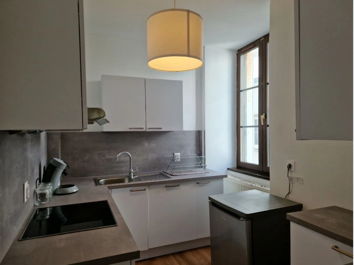 Appartement lumineux de 3 pièces rénové avec cave au centre de Strasbourg 