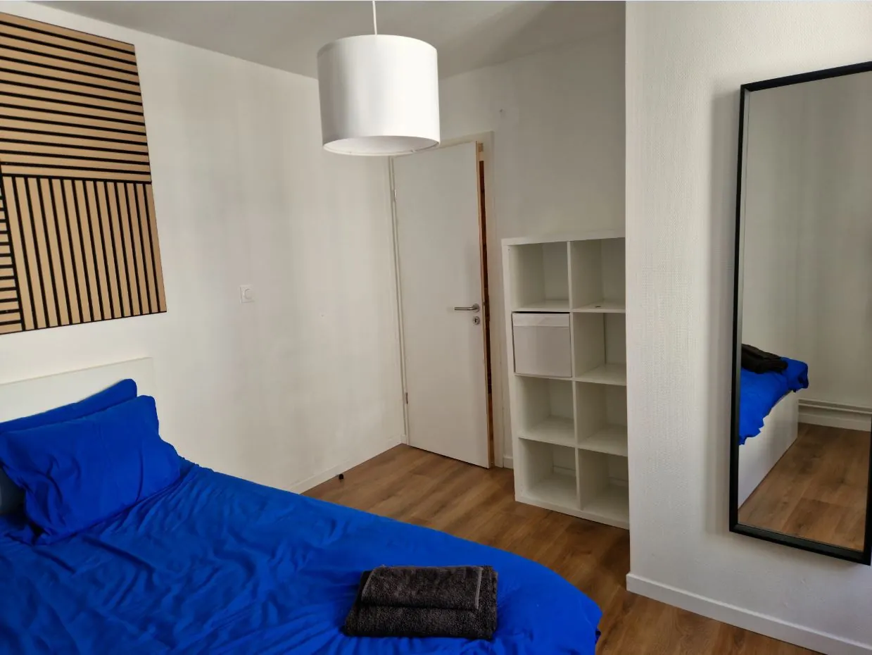 Appartement lumineux de 3 pièces rénové avec cave au centre de Strasbourg 