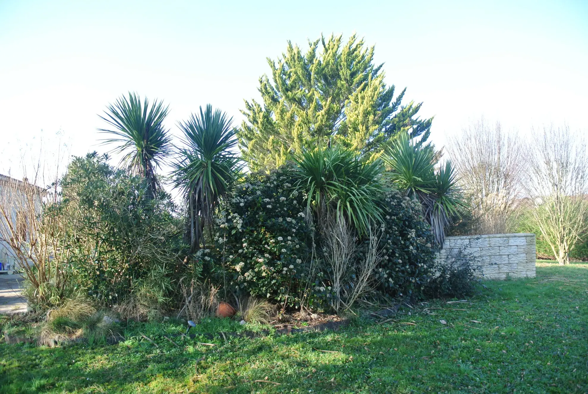 Maison avec 3 chambres, piscine et terrain arboré à Miramont de Guyenne 