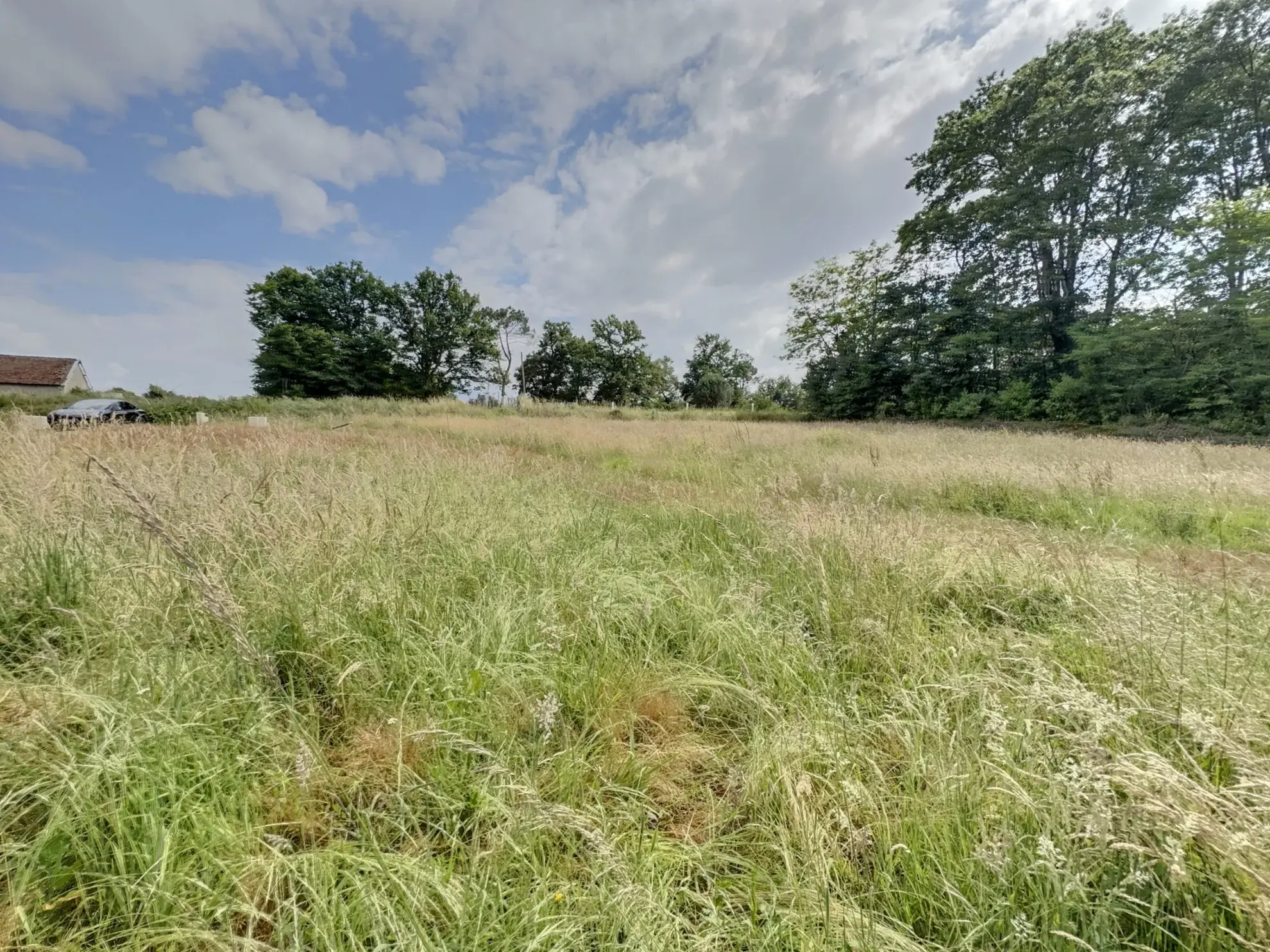 Terrain constructible à Montfort en Chalosse pour bâtir ou investissement à petit prix 