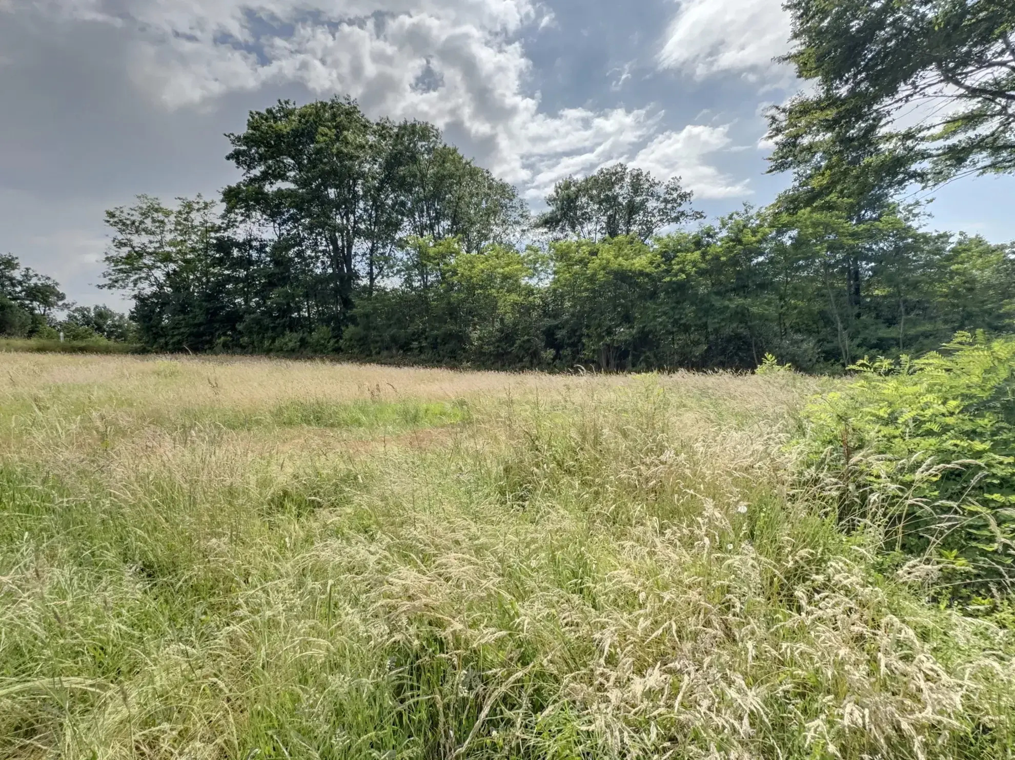 Terrain constructible à Montfort en Chalosse pour bâtir ou investissement à petit prix 