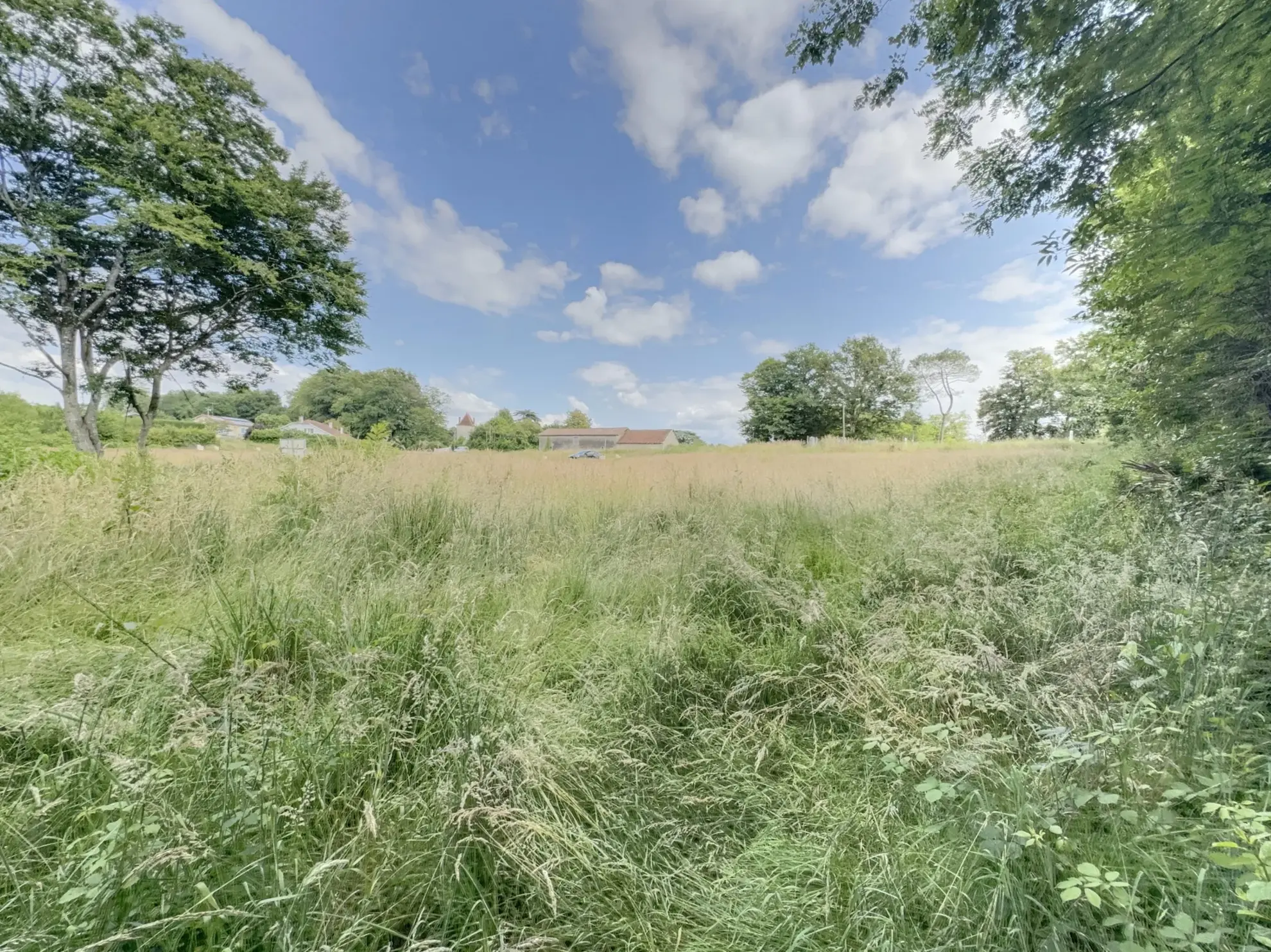 Terrain constructible à Montfort en Chalosse pour bâtir ou investissement à petit prix 