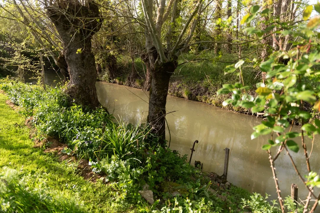 Ensemble immobilier avec maison et dépendance à Saint-Sigismond, Vendée 