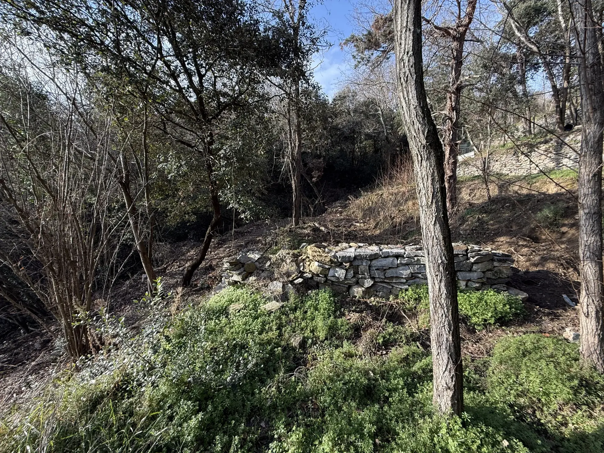 Terrain forestier à vendre à Amélie-les-Bains-Palalda, calme et idéal pour loisirs 