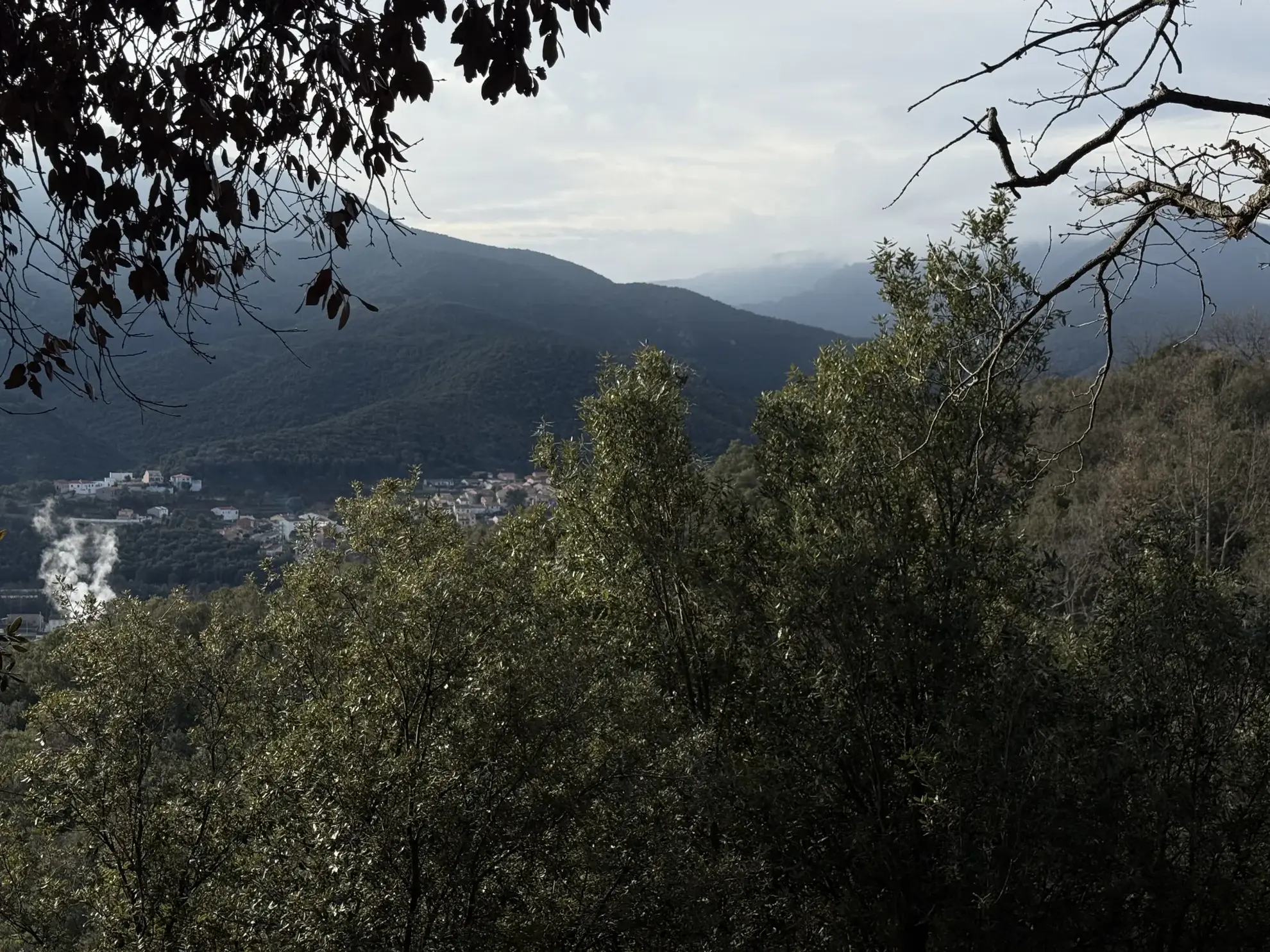 Terrain forestier à vendre à Amélie-les-Bains-Palalda, calme et idéal pour loisirs 