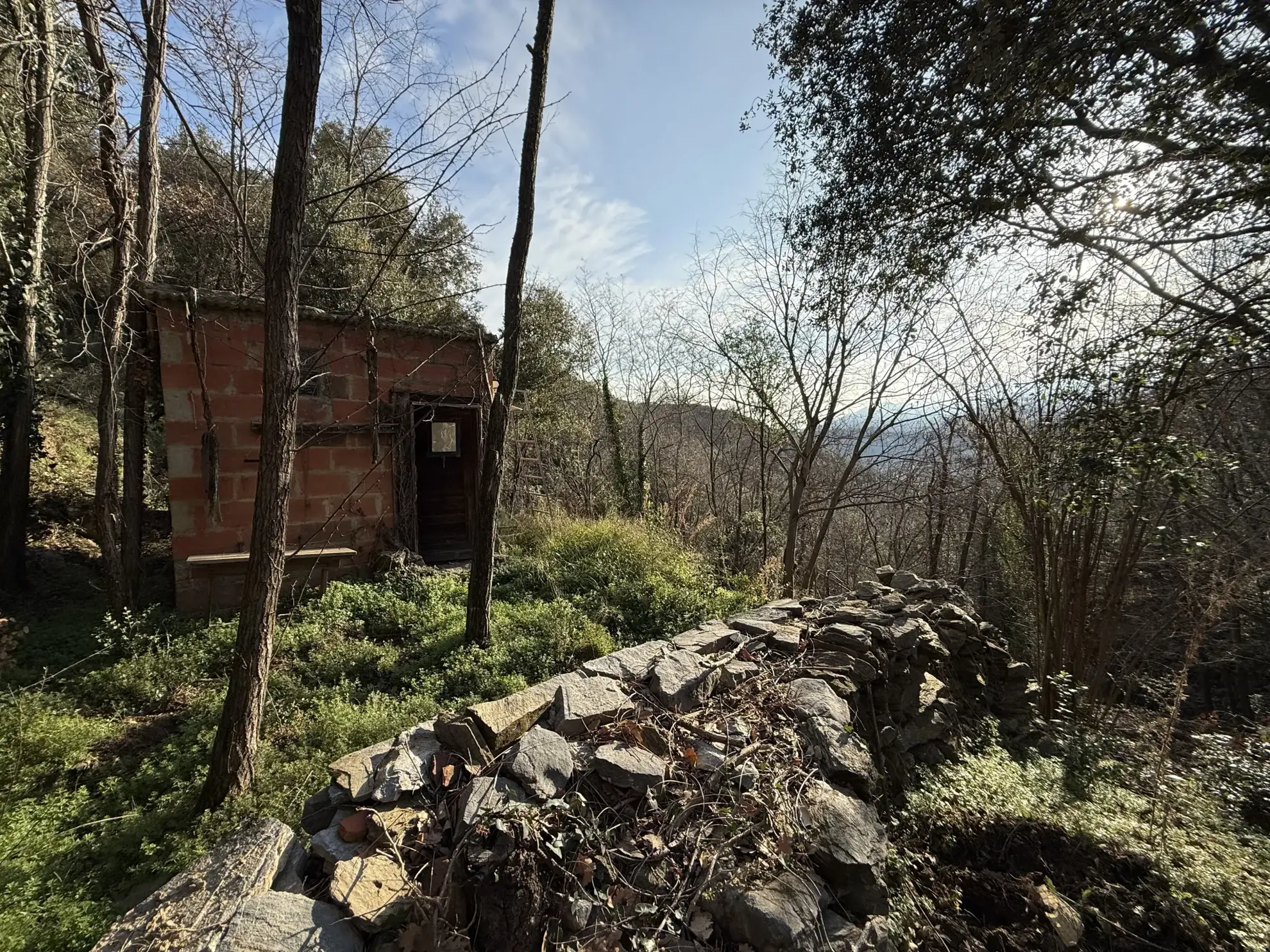 Terrain forestier à vendre à Amélie-les-Bains-Palalda, calme et idéal pour loisirs