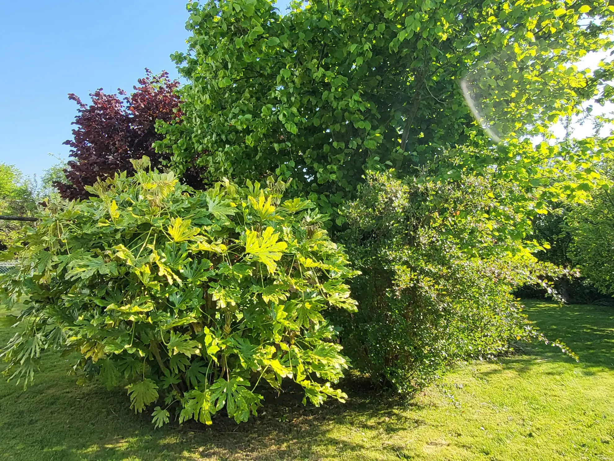 Maison à Yvetot avec 3 chambres, bureau, jardin et garage - Prix de 199 000 € 