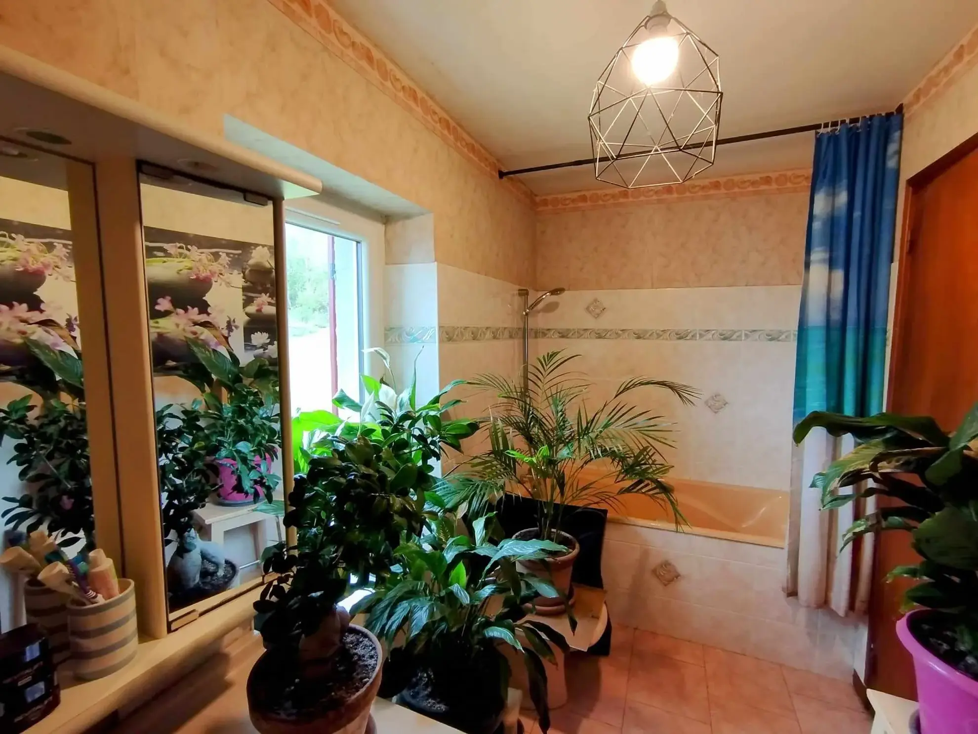 Maison de campagne à vendre à Cusset avec grand terrain et environnement bucolique 