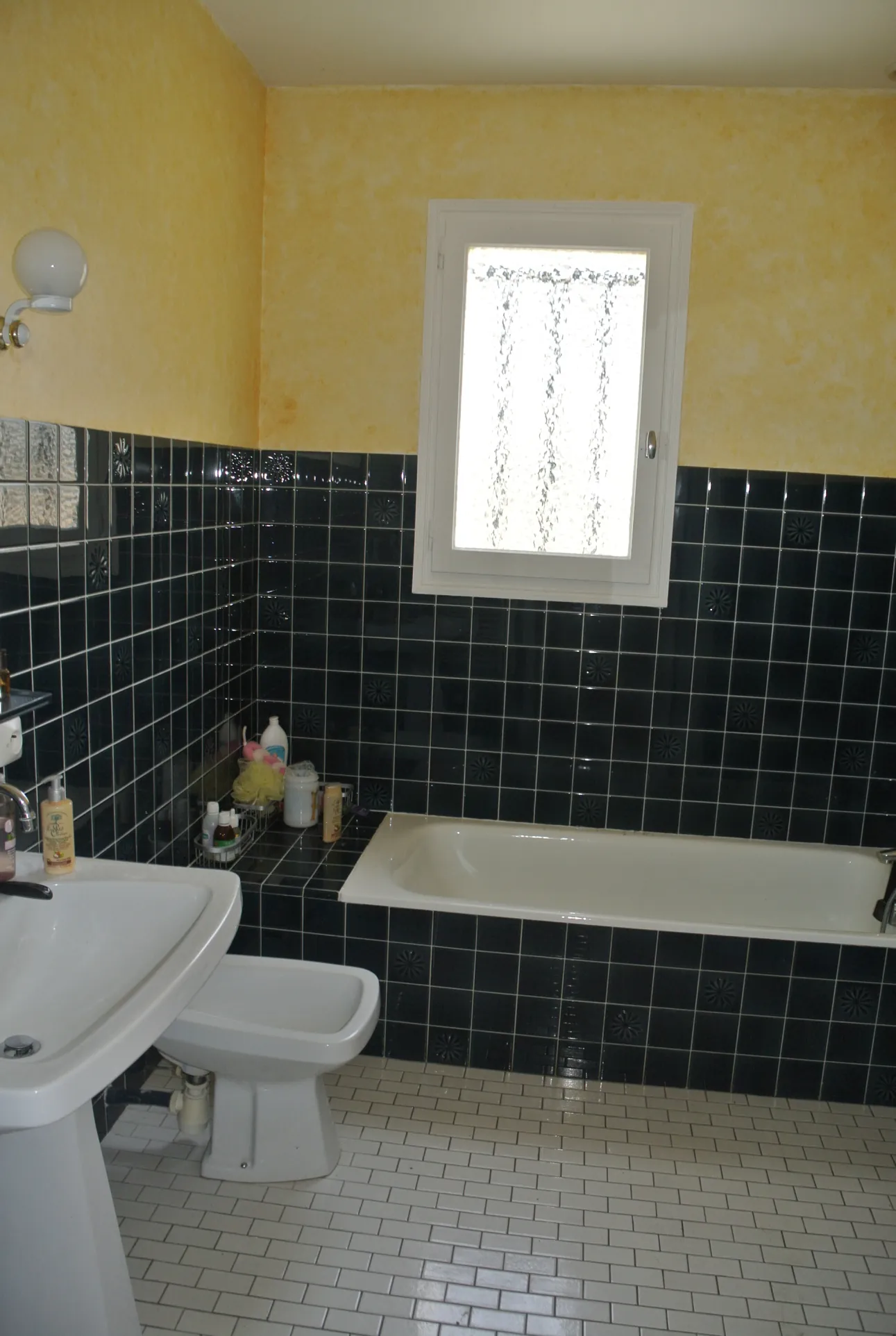 Maison de plain-pied à vendre près de Marmande avec jardin et garage 