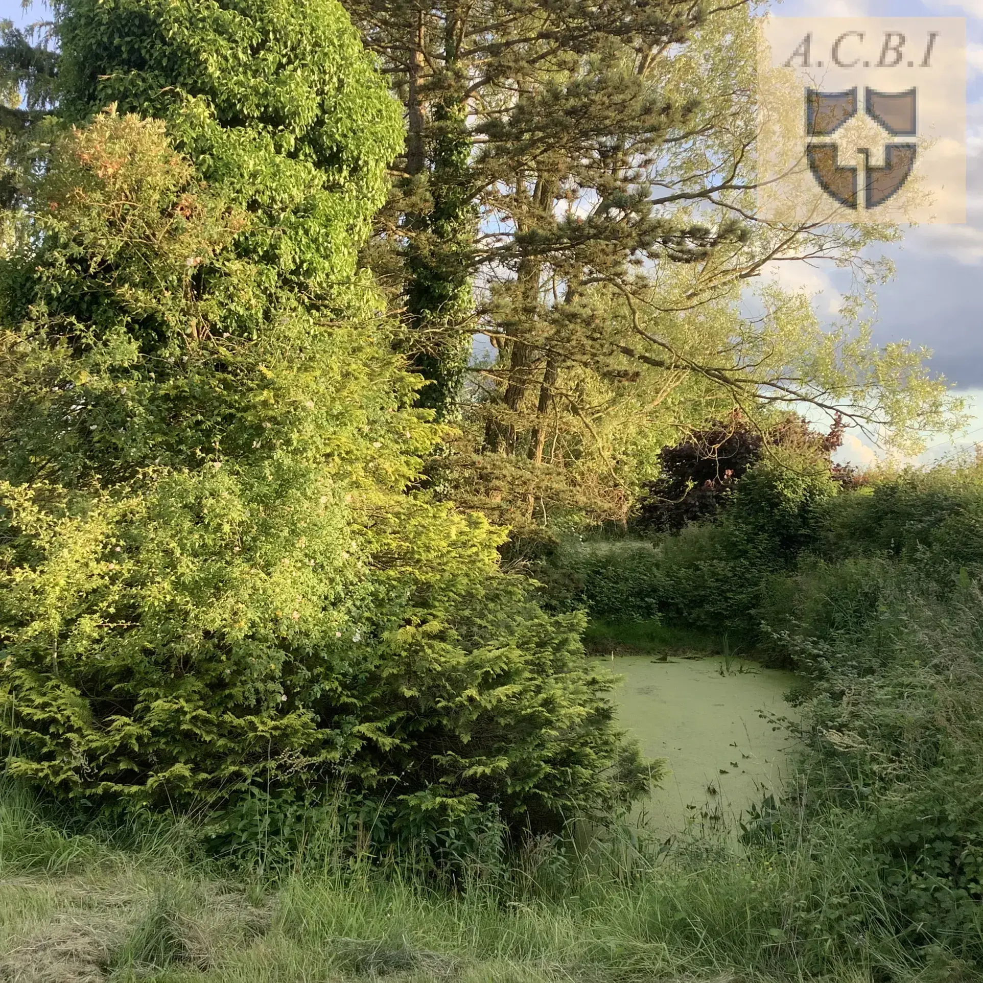 Maison de campagne avec piscine à vendre près de Vendôme, 130 m² 