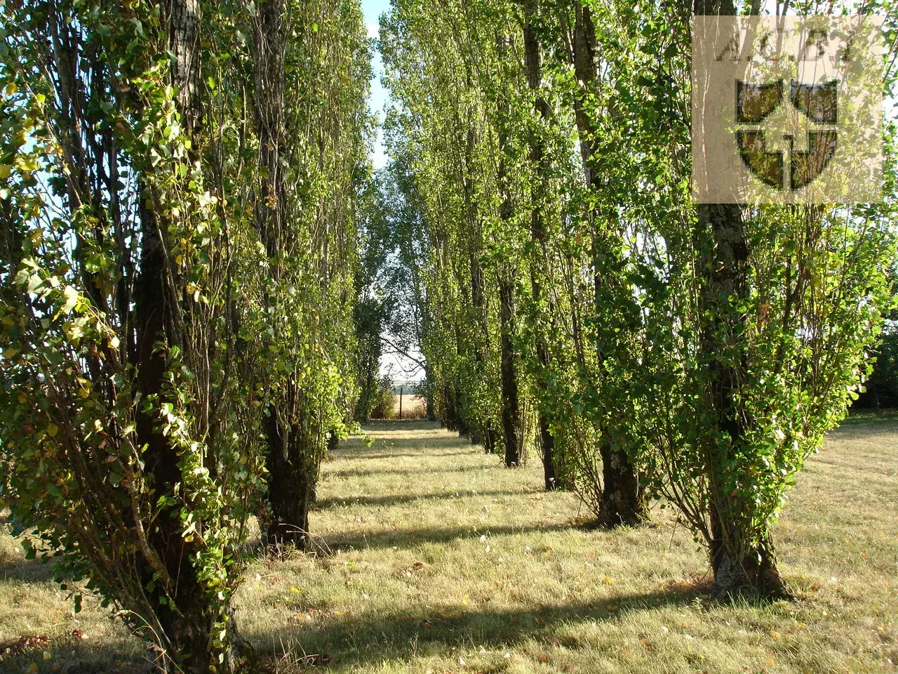 Maison de campagne avec piscine à vendre près de Vendôme, 130 m² 