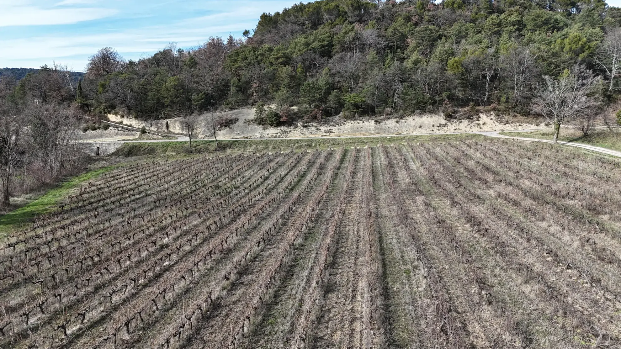 Maison à rénover avec dépendances sur 8300 m² à Mollans-sur-Ouveze 