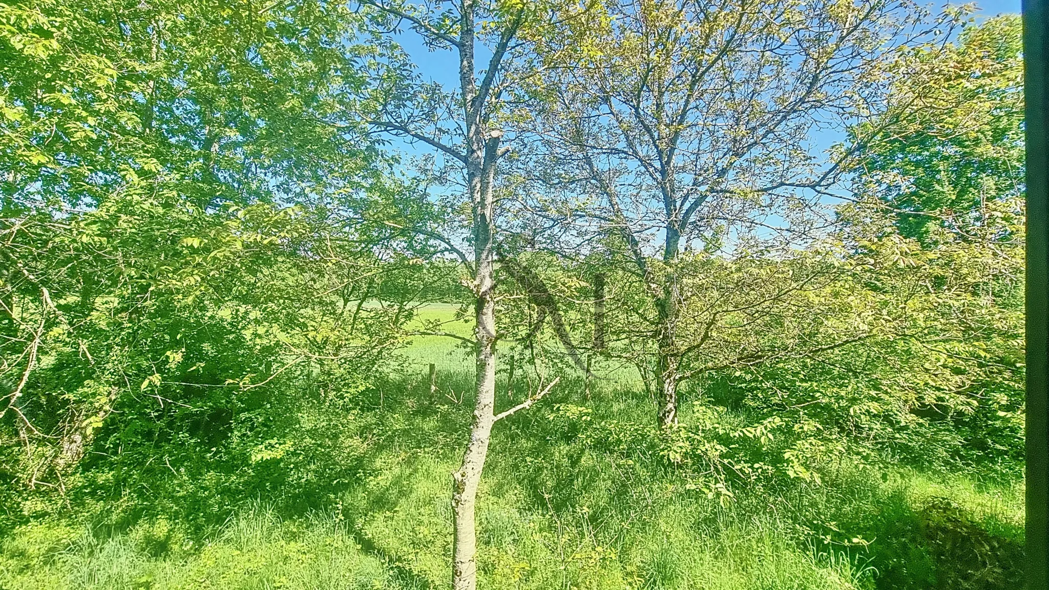 Maison à vendre à Chevannes (45210) avec grand terrain, potentiel de rénovation 