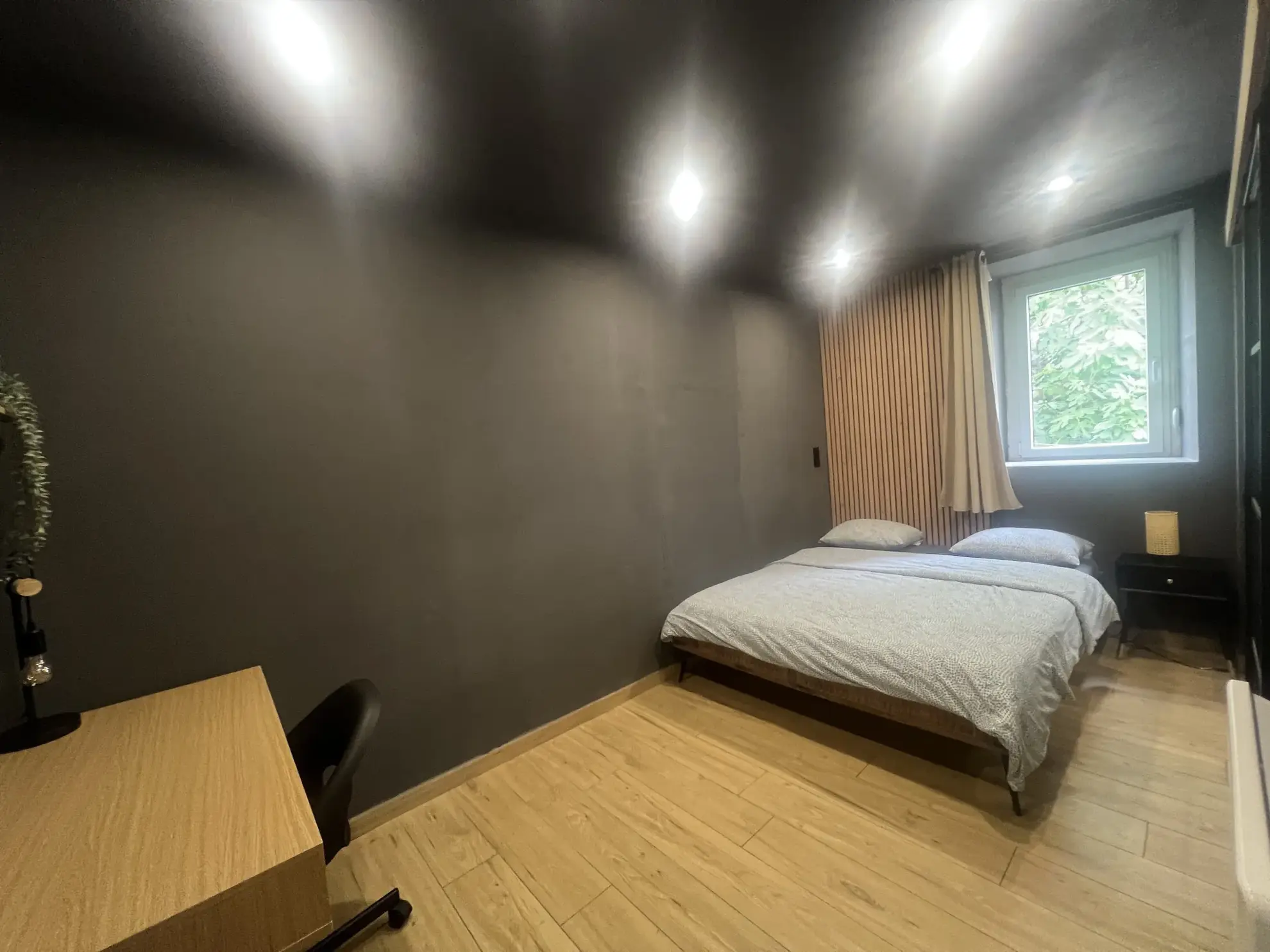 Appartement rénové de 2 pièces à Mulhouse - Investissement ou première résidence 