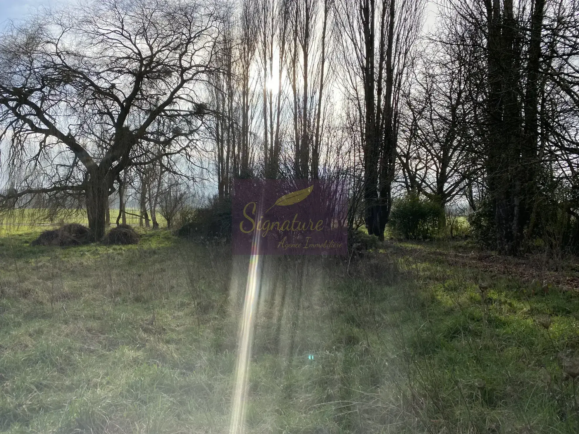 Ferme authentique avec dépendances, écuries et panneaux solaires en campagne dans le Belinois 