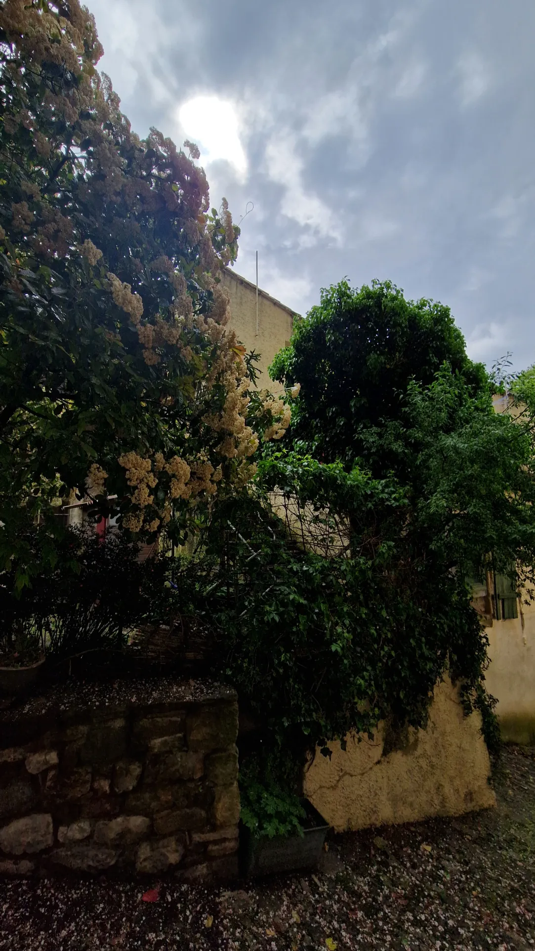 Maison de village à rénover de 107 m2 avec terrasse et cour proche de Lodève 