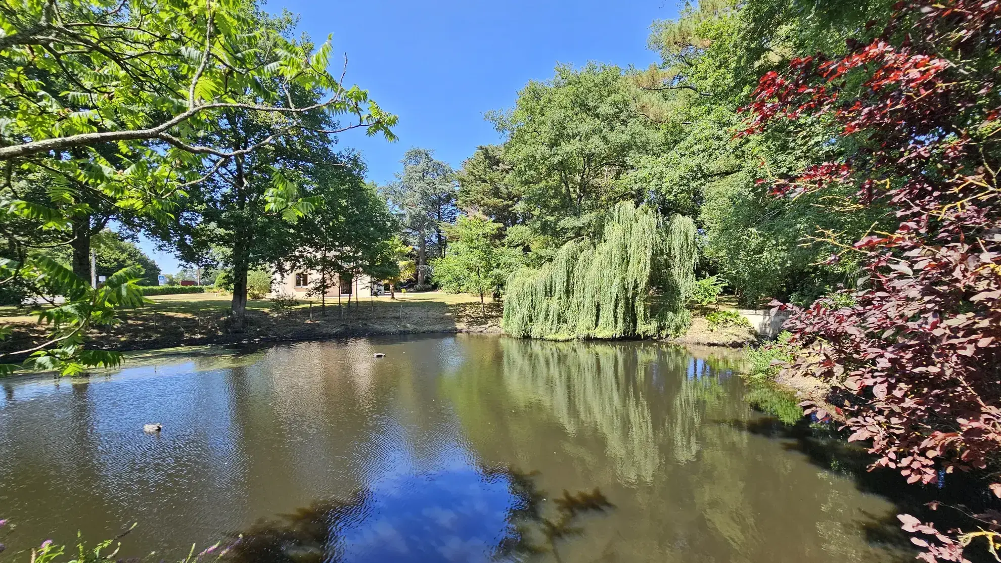 Charmante maison contemporaine avec grand terrain à Saint Vincent des Landes 