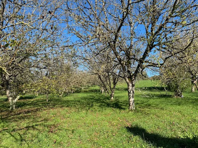 Maison familiale de 174 m² avec 5 chambres en Dordogne, proche village 
