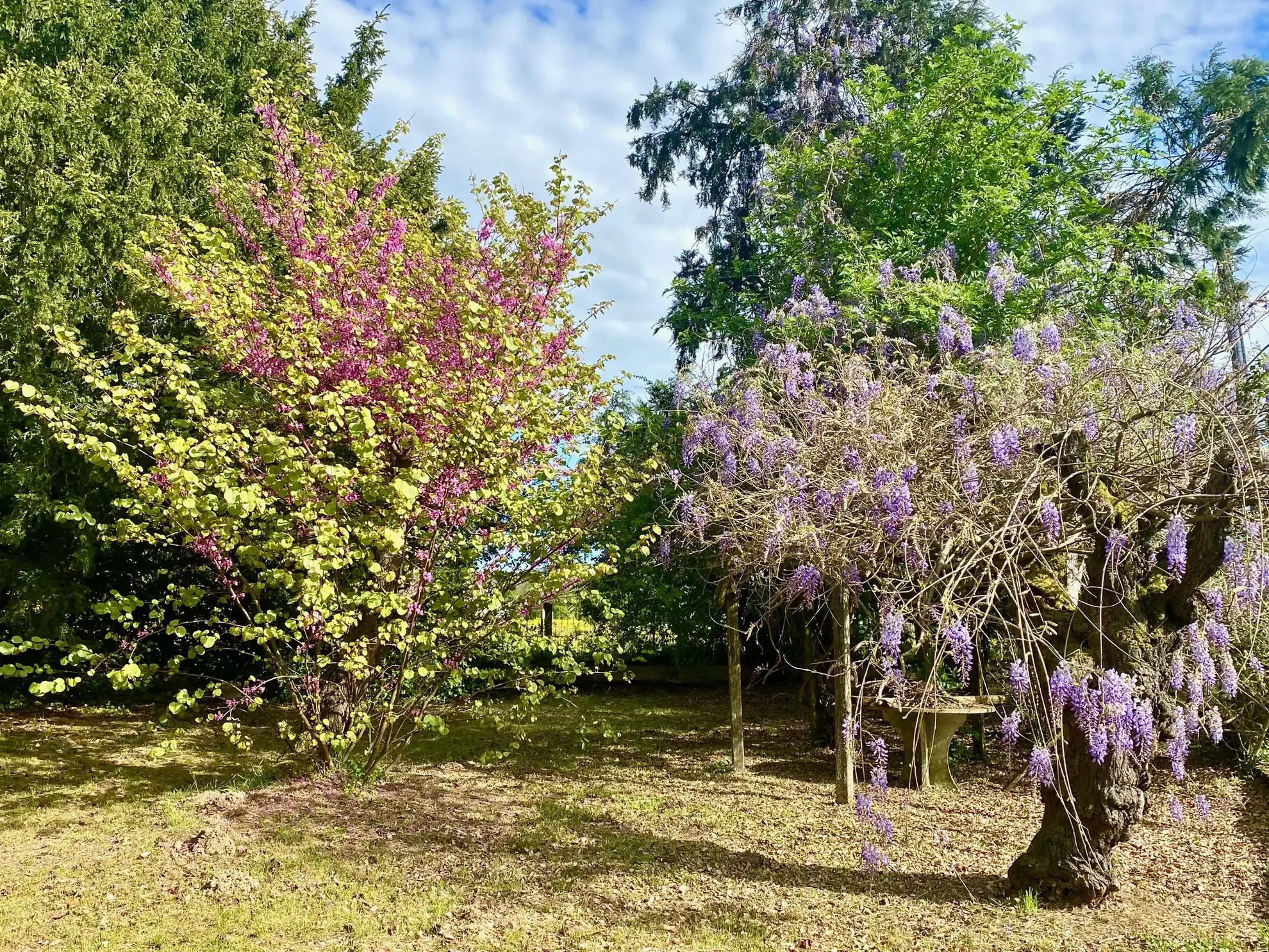 Maison familiale de 174 m² avec 5 chambres en Dordogne, proche village 