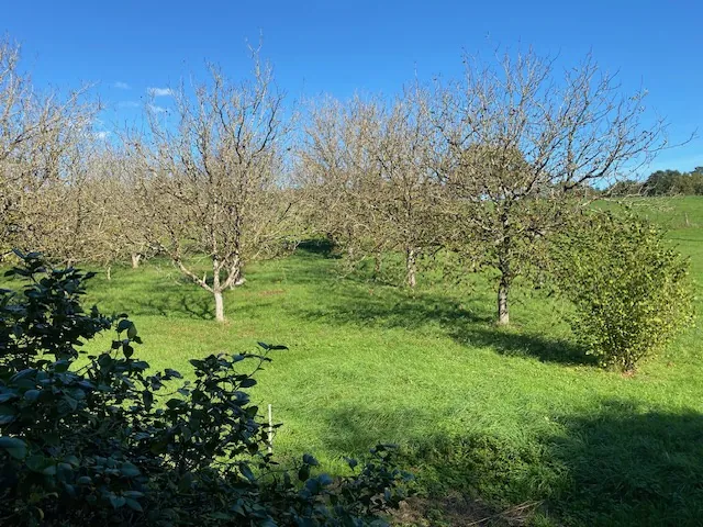 Maison familiale de 174 m² avec 5 chambres en Dordogne, proche village 