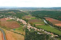Terrain agricole à vendre à Salinelles avec oliviers et forêt, 8 870 m²
