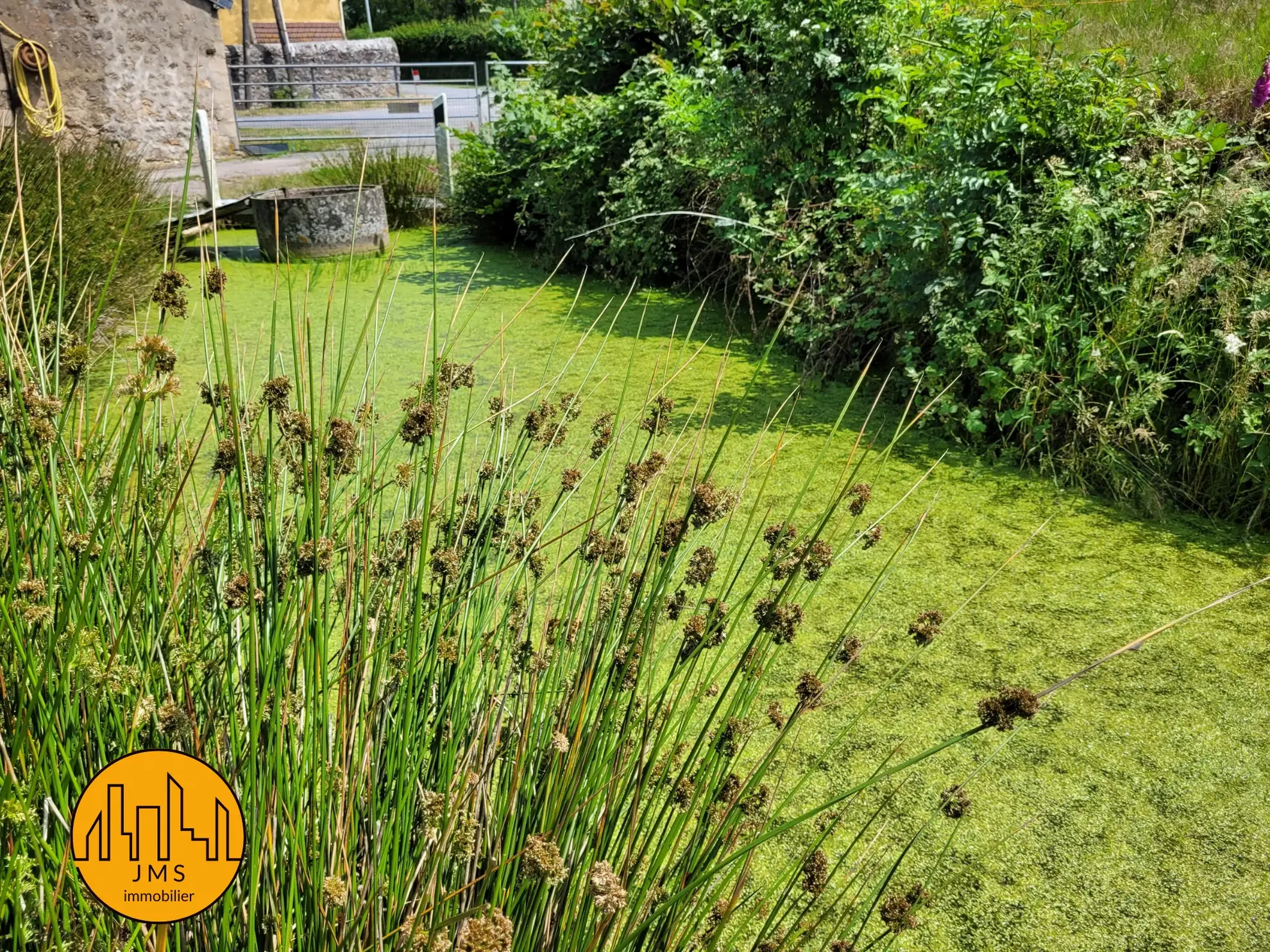 Ensemble immobilier à Saint Sornin avec maison, grange et dépendances 