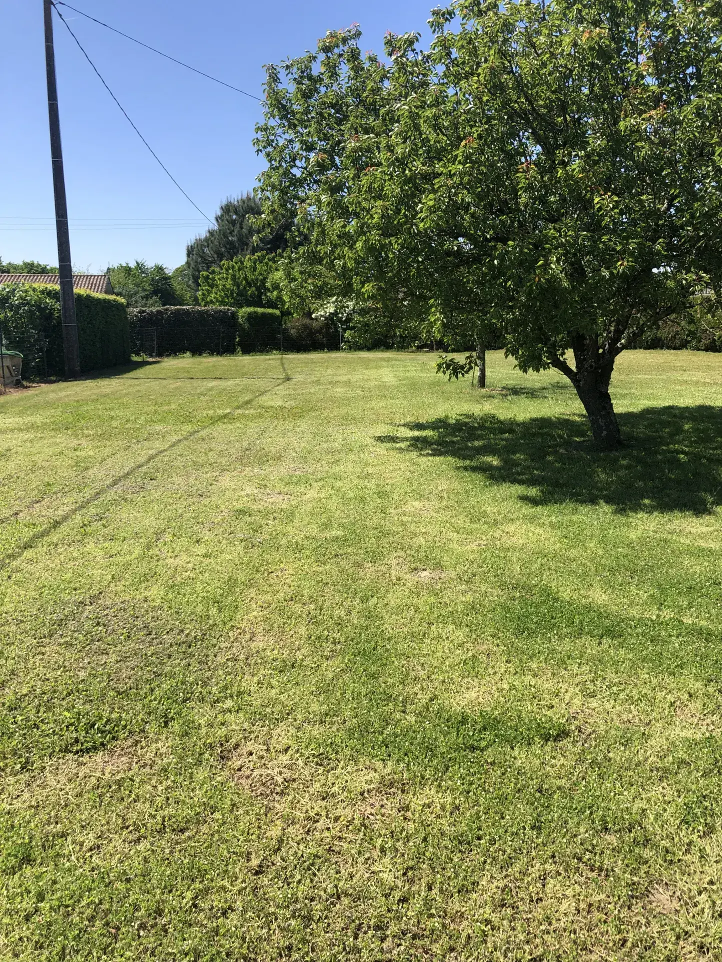 Maison girondine avec dépendance et grand terrain à La Réole 