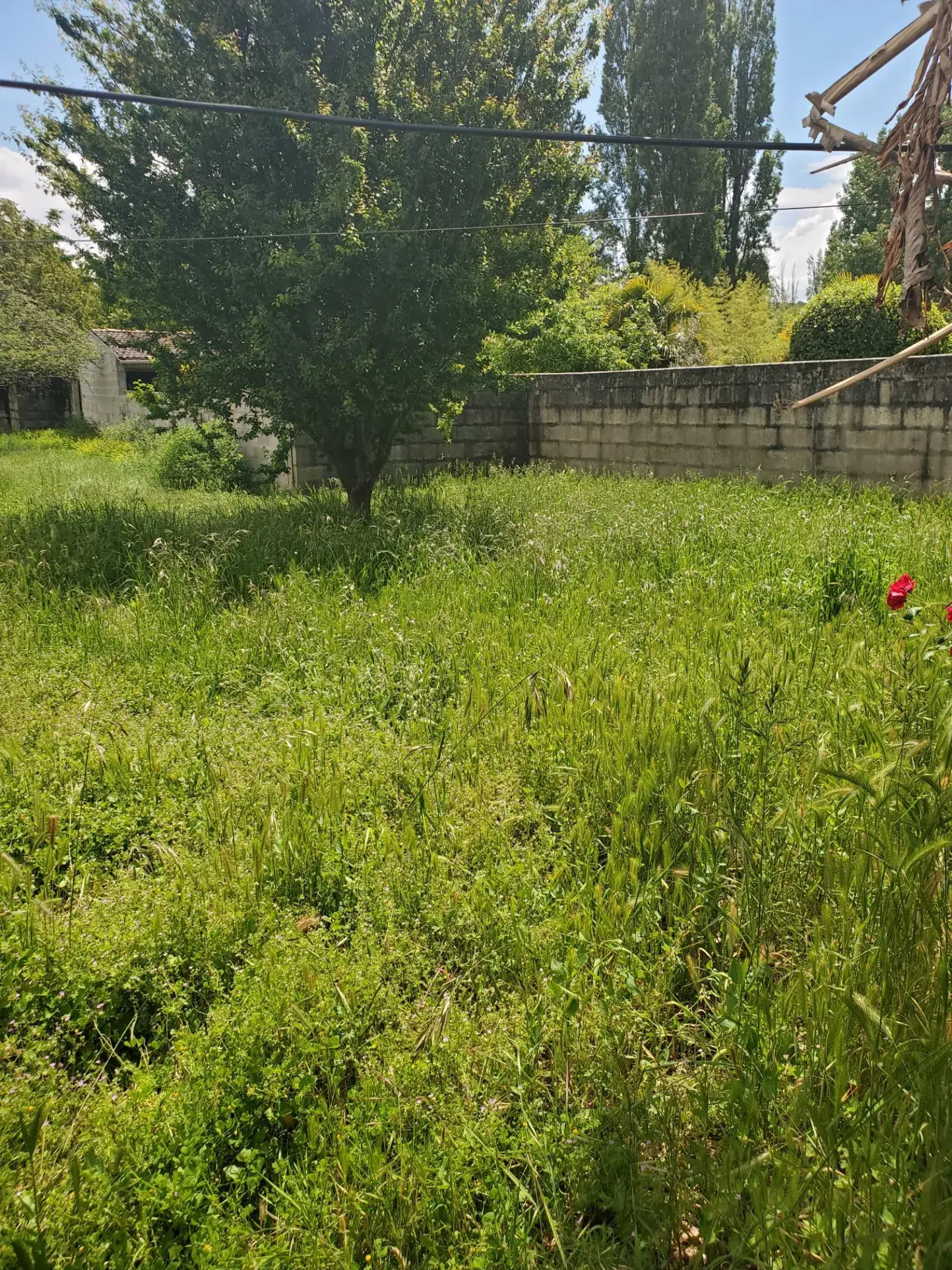 Terrain constructible de 404 m² à Saint-Palais-sur-Mer - Emplacement privilégié 