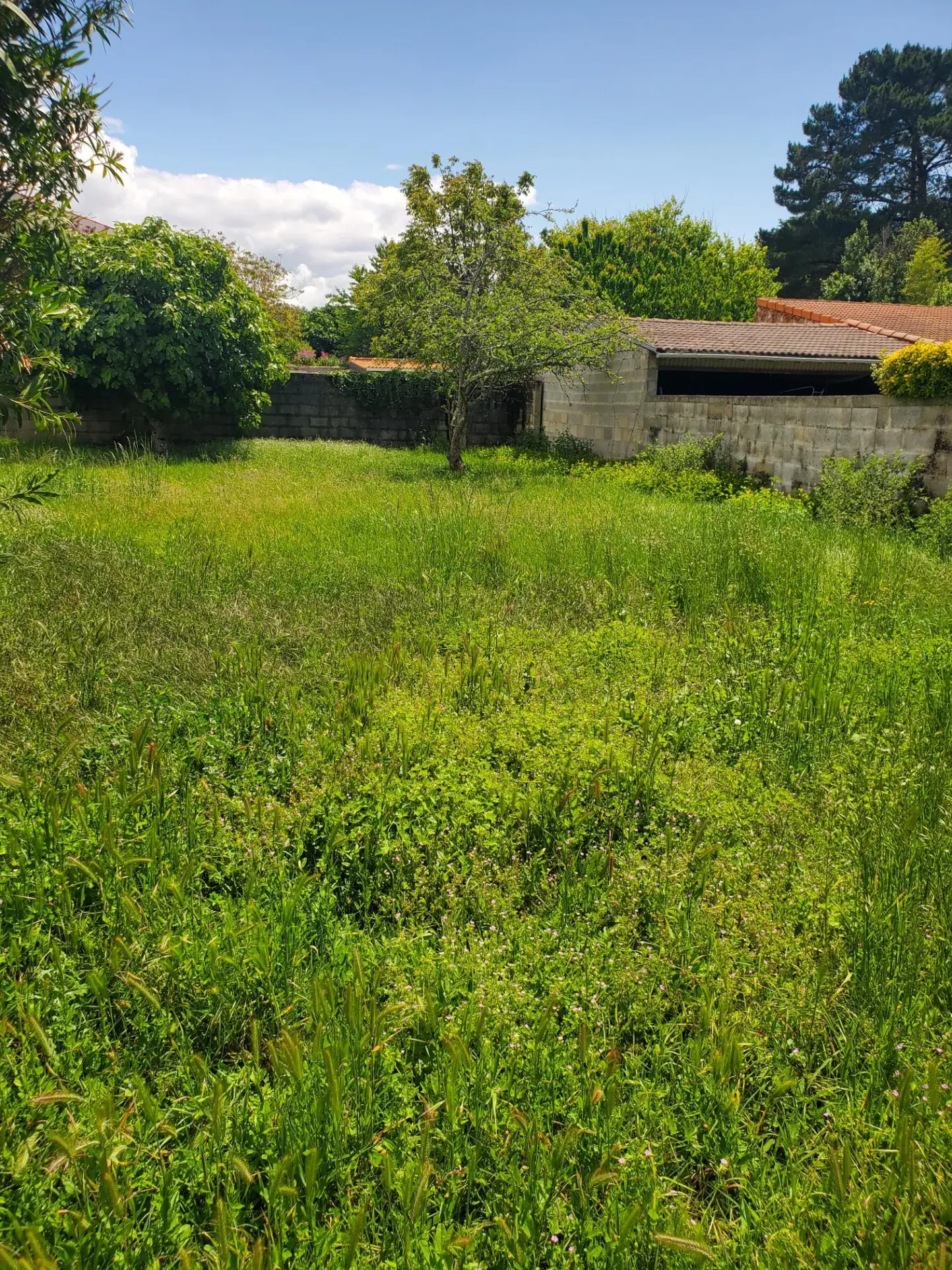 Terrain constructible de 404 m² à Saint-Palais-sur-Mer - Emplacement privilégié 