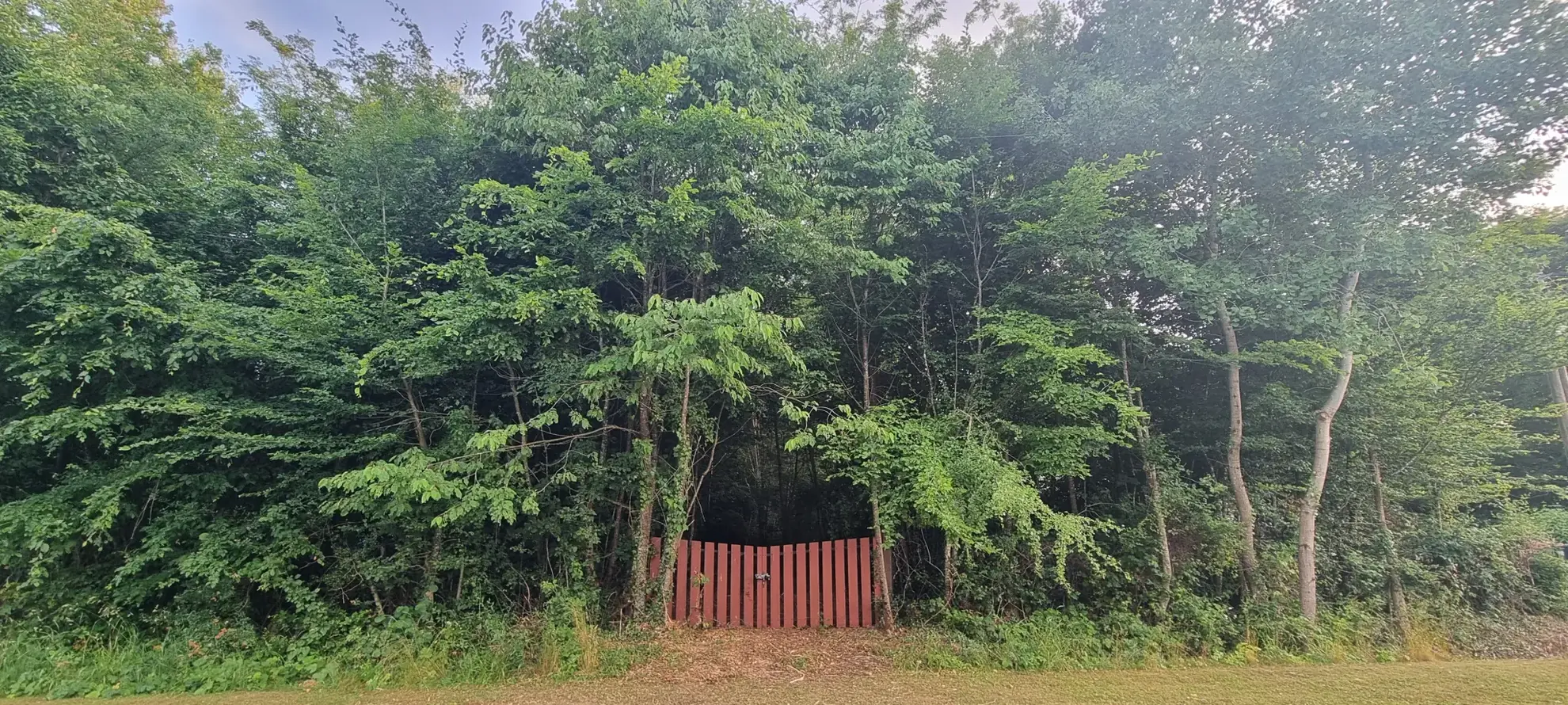 Terrain constructible boisé à La Selle-en-Hermoy (45210) — Idéal pour votre maison neuve