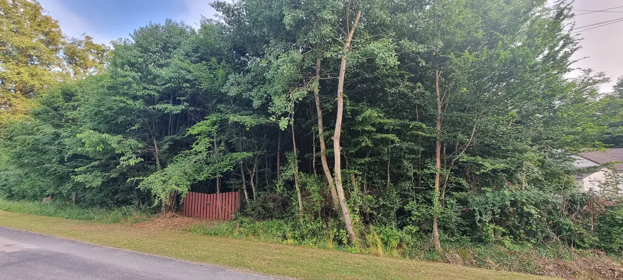 Terrain constructible boisé à La Selle-en-Hermoy (45210) — Idéal pour votre maison neuve 