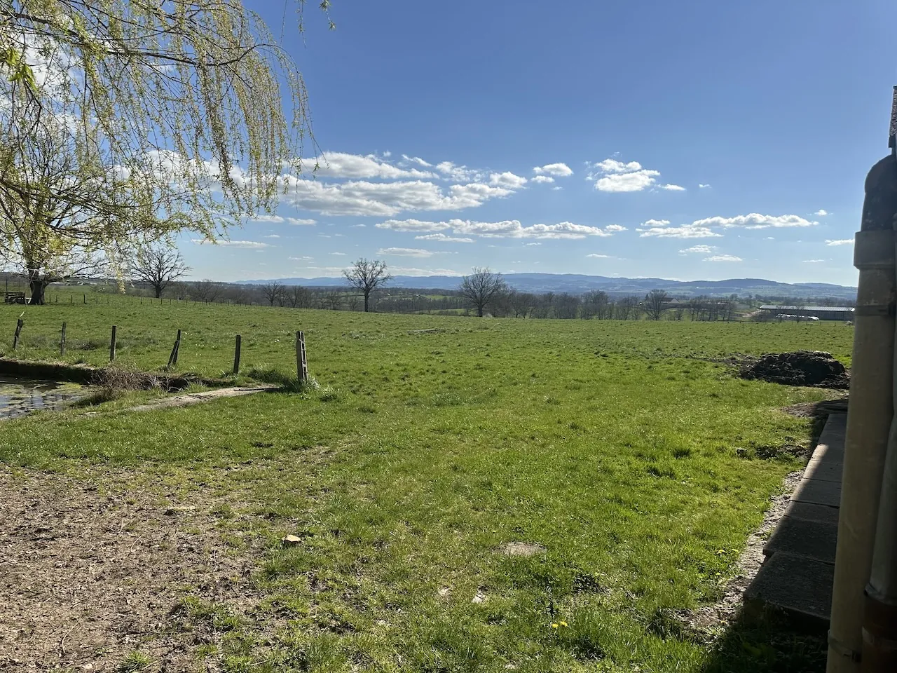 Ferme mitoyenne à Urbise avec 4 hectares, dépendances et vue dégagée 