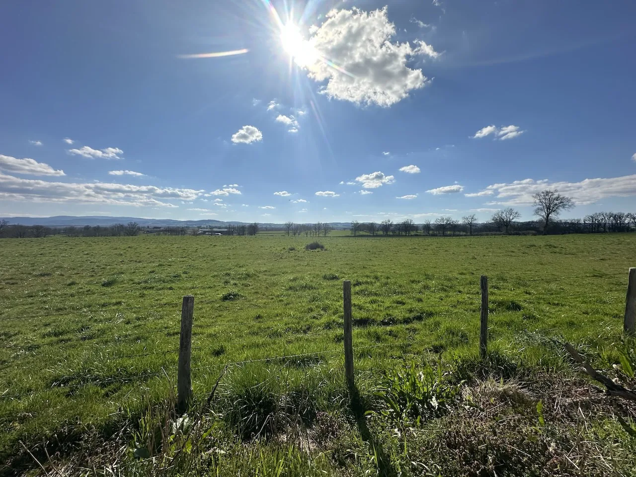Ferme mitoyenne à Urbise avec 4 hectares, dépendances et vue dégagée 