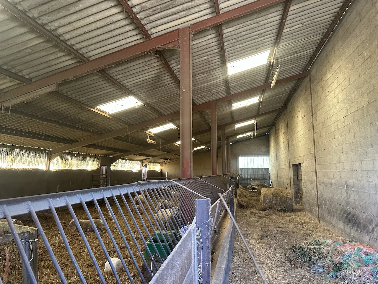 Ferme mitoyenne à Urbise avec 4 hectares, dépendances et vue dégagée 