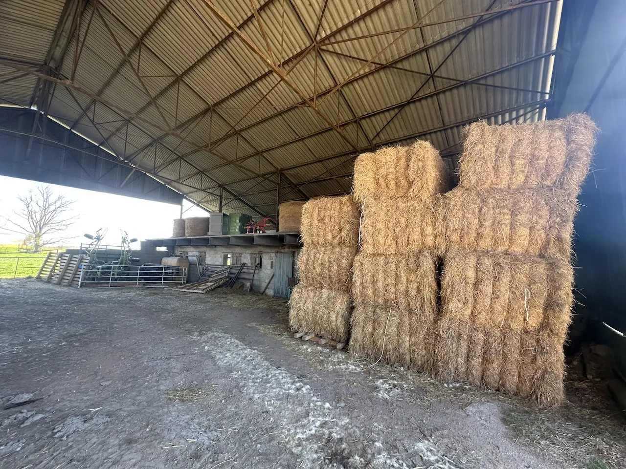 Ferme mitoyenne à Urbise avec 4 hectares, dépendances et vue dégagée 