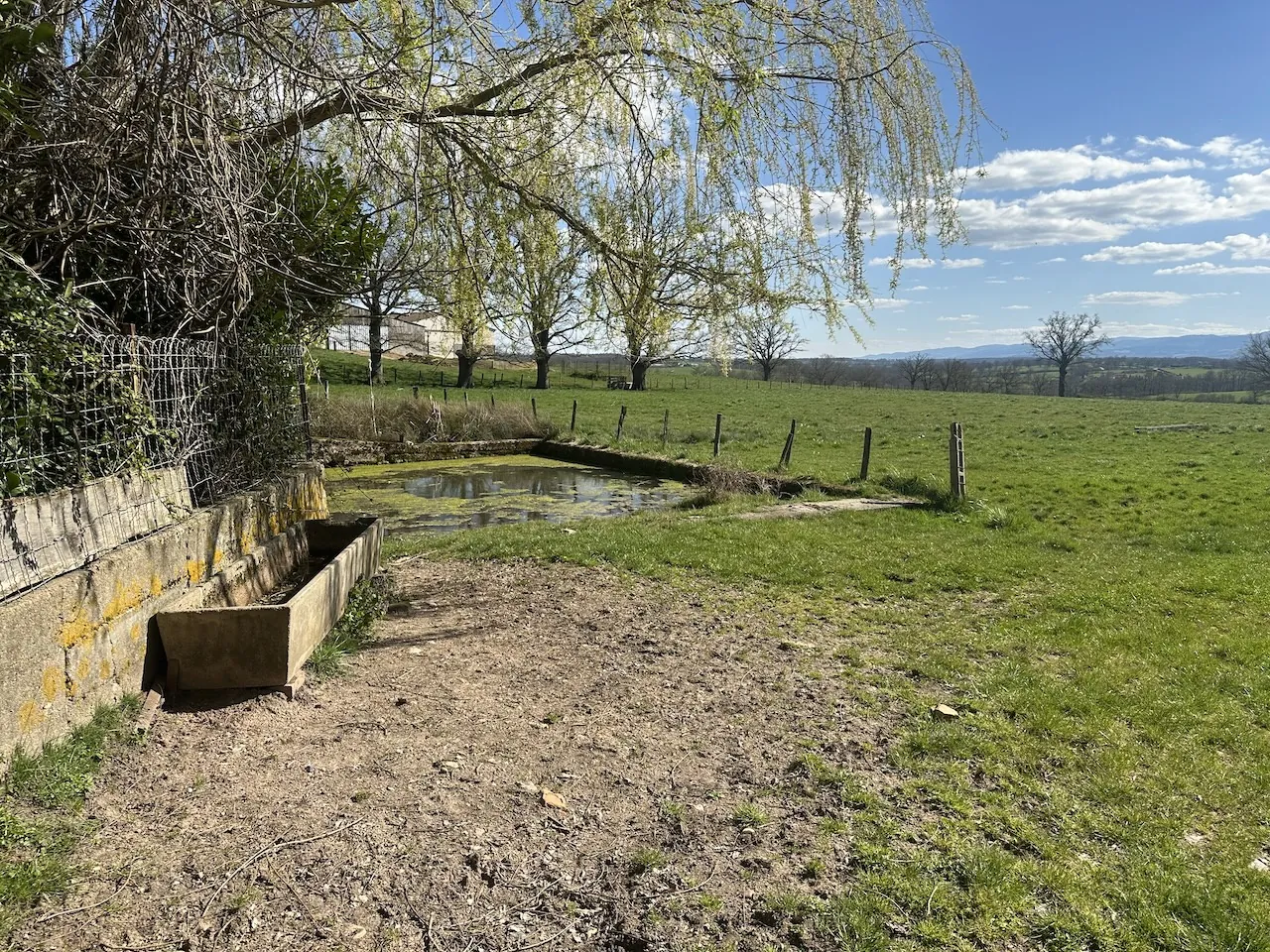 Ferme mitoyenne à Urbise avec 4 hectares, dépendances et vue dégagée 