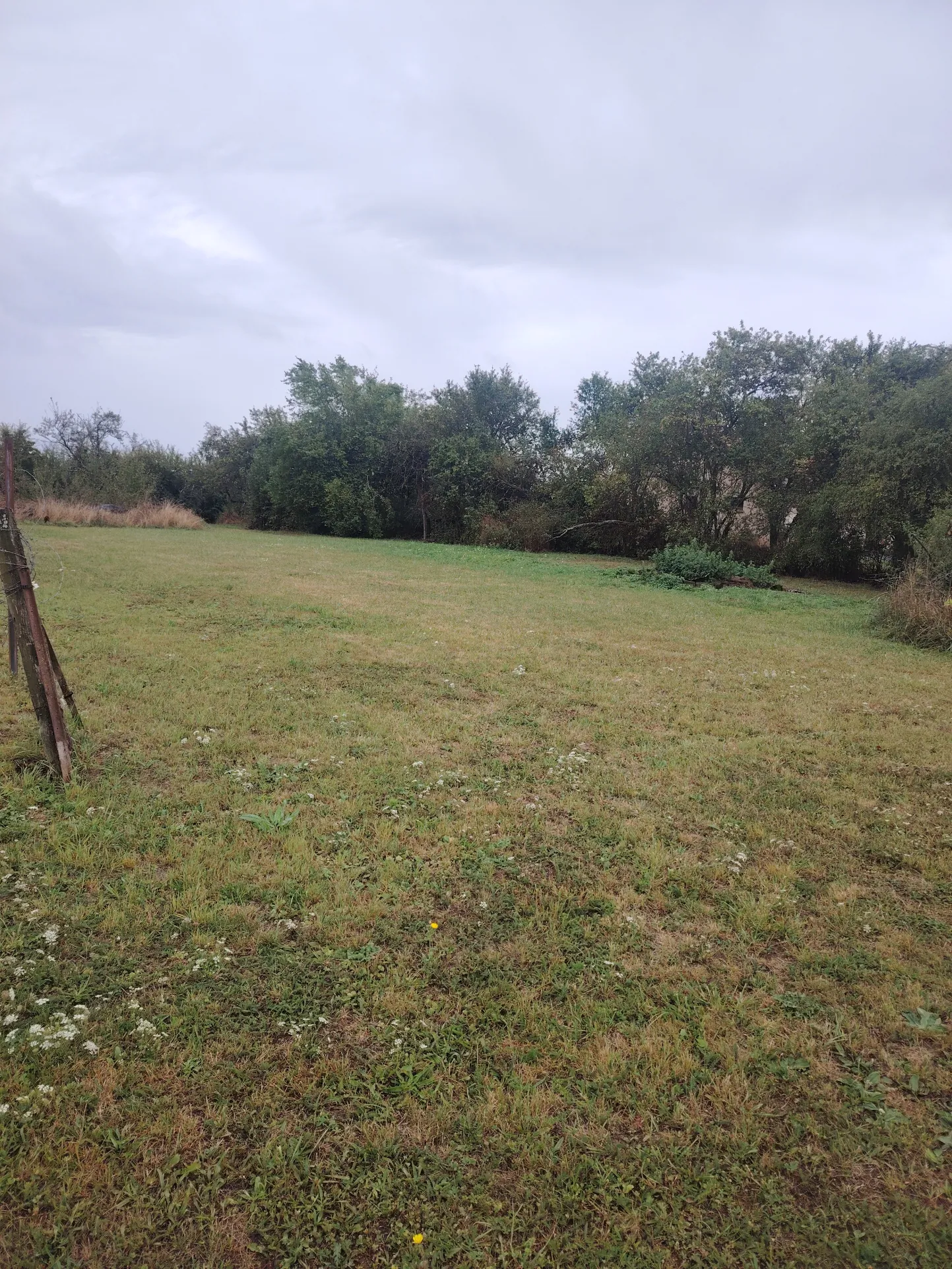 Terrain constructible de 1514 m² à Harville avec plusieurs possibilités de construction 