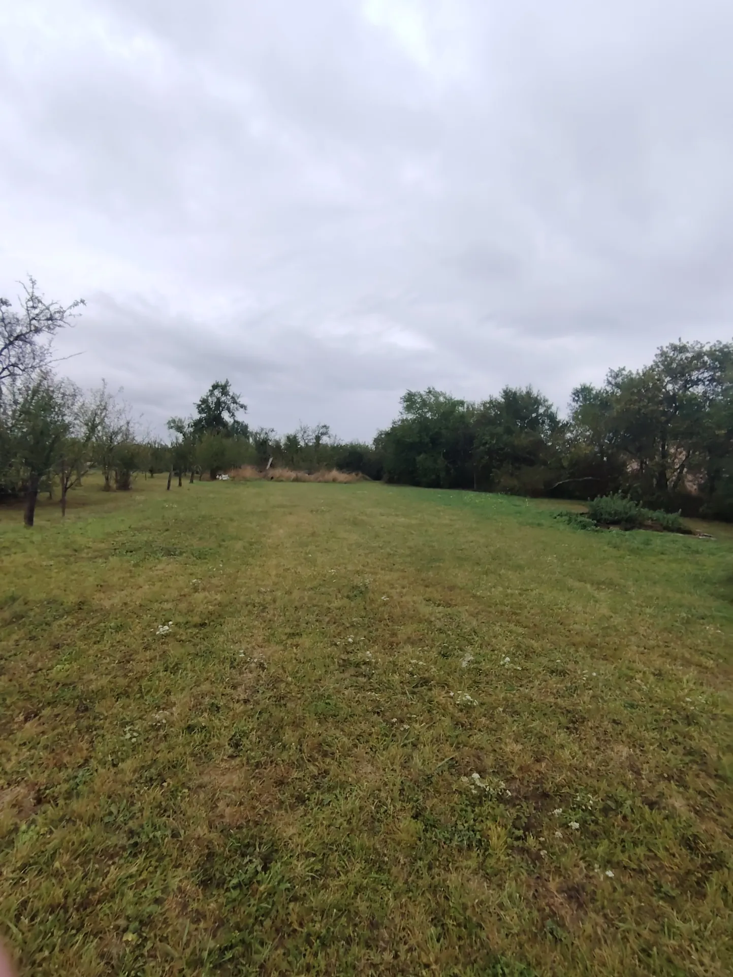Terrain constructible de 1514 m² à Harville avec plusieurs possibilités de construction 