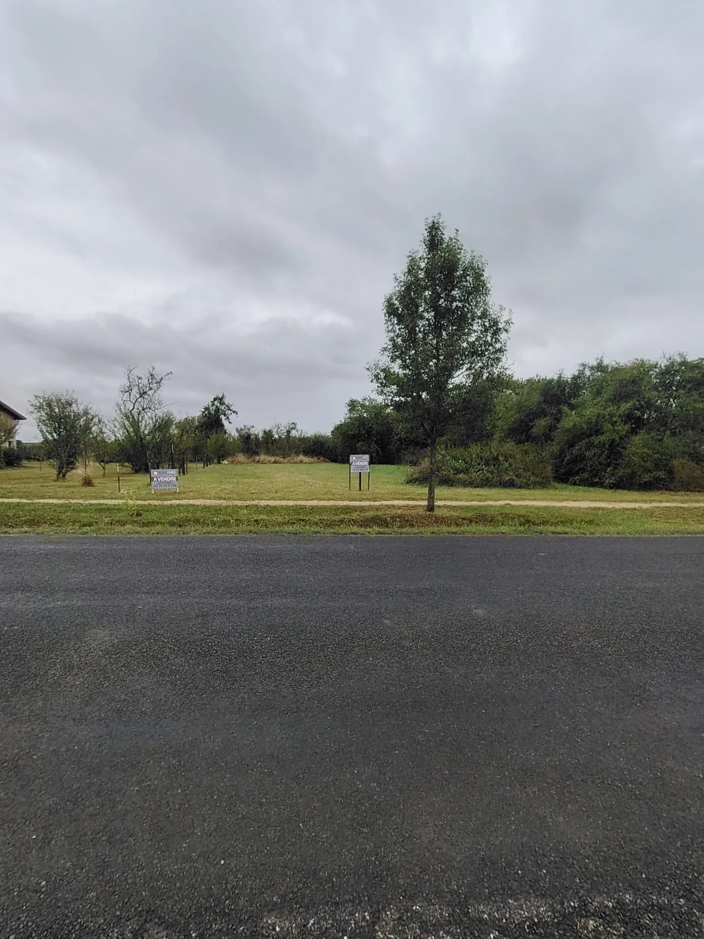 Terrain constructible de 1514 m² à Harville avec plusieurs possibilités de construction 