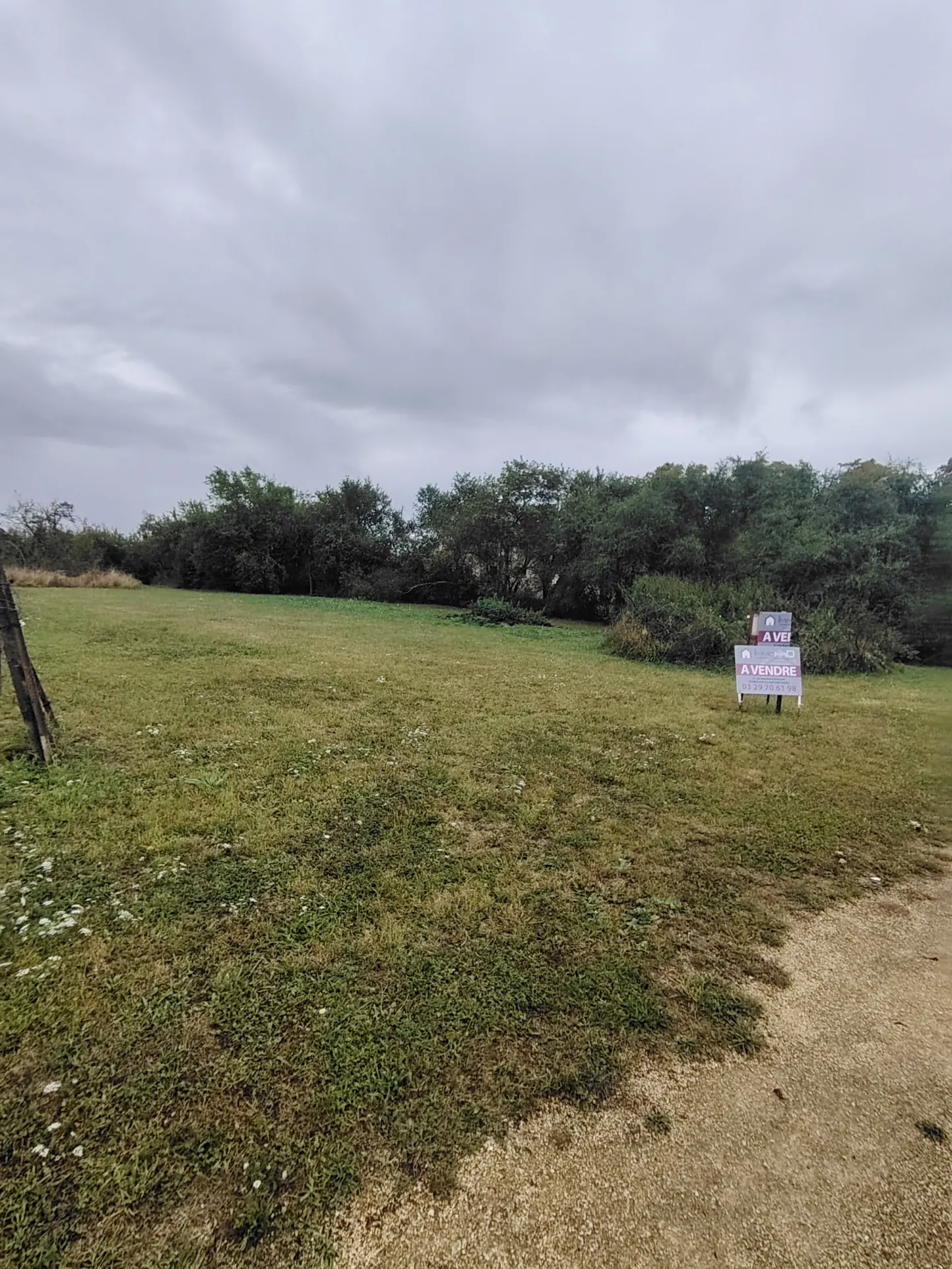 Terrain constructible de 1514 m² à Harville avec plusieurs possibilités de construction 