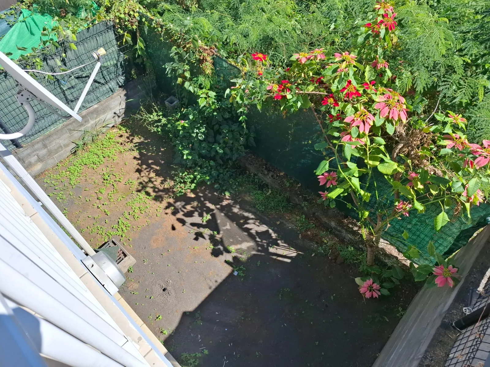 Maison mitoyenne à vendre à La Possession avec vue mer – 3 chambres et terrasse 