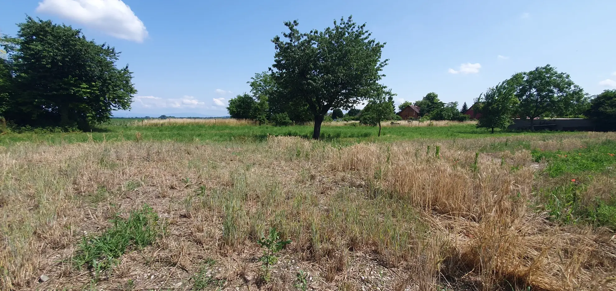 Terrain constructible de 16,41 ares à Ohnenheim – Cadre calme et vue dégagée 