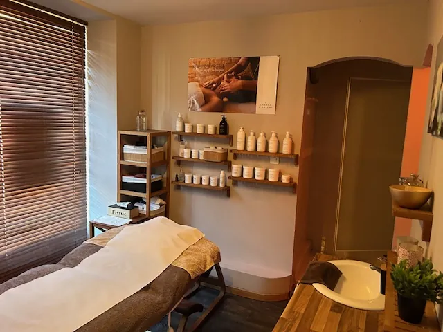 Immeuble à vendre à Rabastens-de-Bigorre avec local commercial et appartements loués 